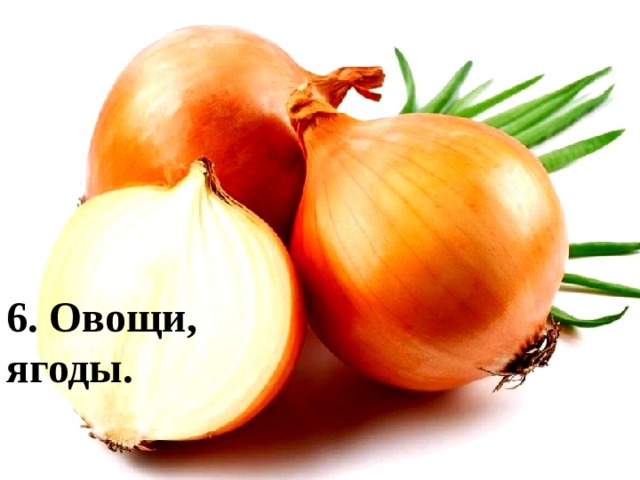 Без чего не может жить человек? 4. Человек. Без имени. 5. Лес, деревья. Зелена, а не луг, бела, а не снег, кудрява, а не голова. 6. Овощи, ягоды. Что без боли и без печали доводит до слёз? 