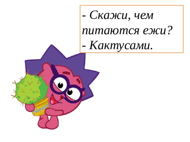 - Скажи, чем питаются ежи?  - Кактусами. 