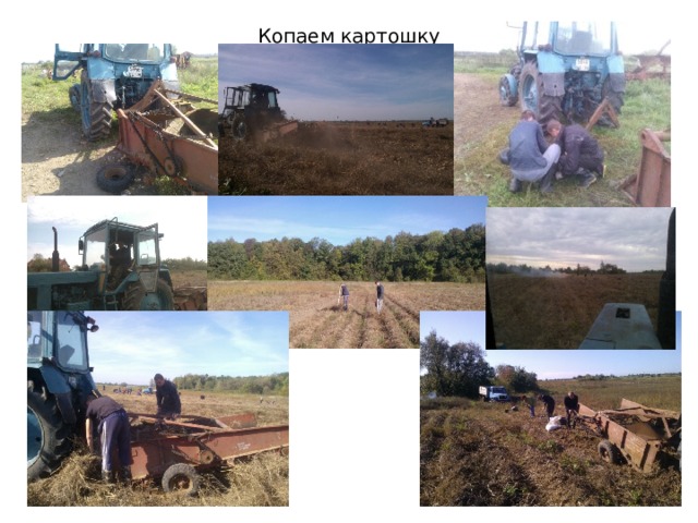 Копаем картошку 