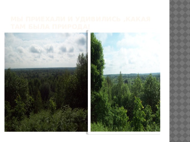 Мы приехали и удивились ,какая там была природа! 