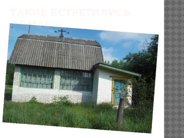 Такие встретились дома! 