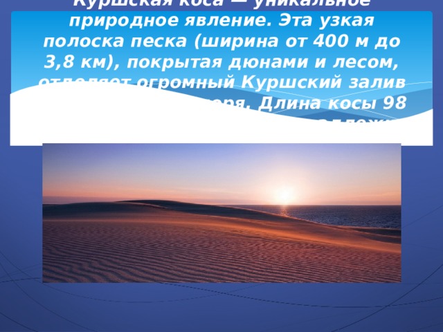 Куршская коса — уникальное природное явление. Эта узкая полоска песка (ширина от 400 м до 3,8 км), покрытая дюнами и лесом, отделяет огромный Куршский залив от Балтийского моря. Длина косы 98 км, из которых России принадлежит 46 км, а Литве 52 км. 