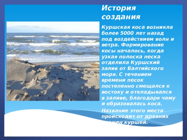 История создания Куршская коса возникла более 5000 лет назад под воздействием волн и ветра. Формирование косы началось, когда узкая полоска песка отделила Куршский залив от Балтийского моря. С течением времени песок постепенно смещался к востоку и откладывался в заливе, благодаря чему и образовалась коса. Название этого места происходит от древних племен куршей. 