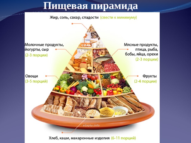 Пищевая пирамида 