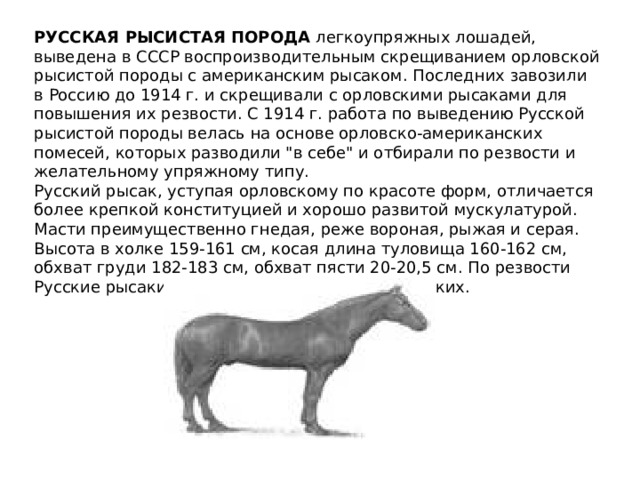 РУССКАЯ РЫСИСТАЯ ПОРОДА  легкоупряжных лошадей, выведена в СССР воспроизводительным скрещиванием орловской рысистой породы с американским рысаком. Последних завозили в Россию до 1914 г. и скрещивали с орловскими рысаками для повышения их резвости. С 1914 г. работа по выведению Русской рысистой породы велась на основе орловско-американских помесей, которых разводили 