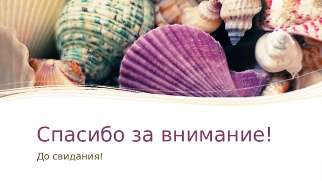 Спасибо за внимание! До свидания! 