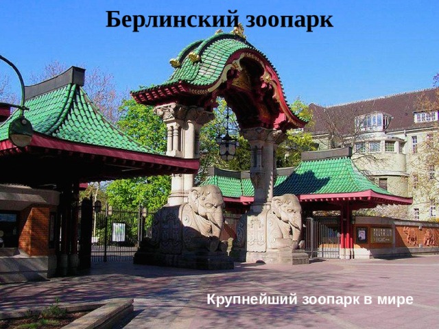 Берлинский зоопарк Крупнейший зоопарк в мире  
