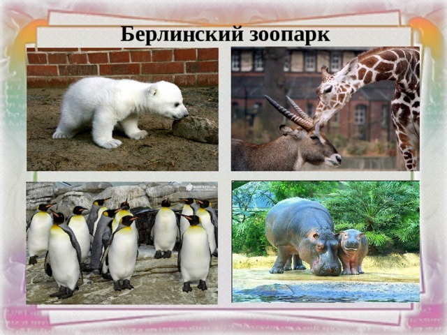 Берлинский зоопарк 