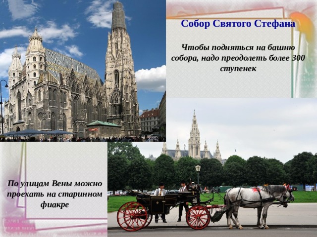 Собор Святого Стефана  Чтобы подняться на башню собора, надо преодолеть более 300 ступенек  По улицам Вены можно проехать на старинном фиакре 
