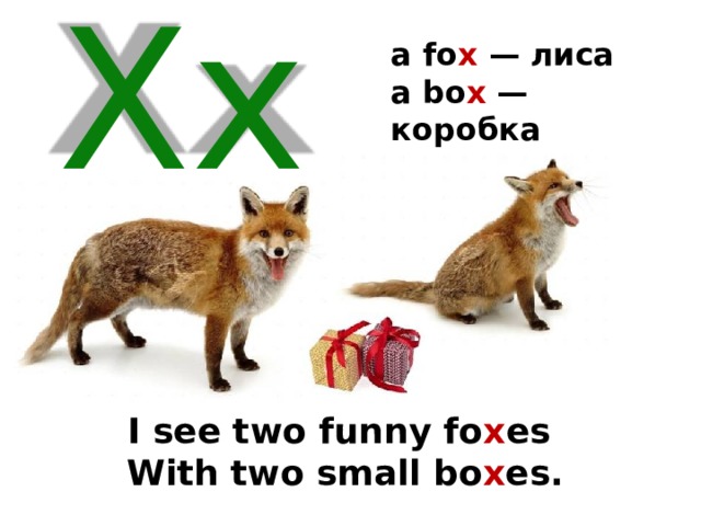a fo x — лиса a bo x — коробка  Xx I see two funny fo x es With two small bo x es. 