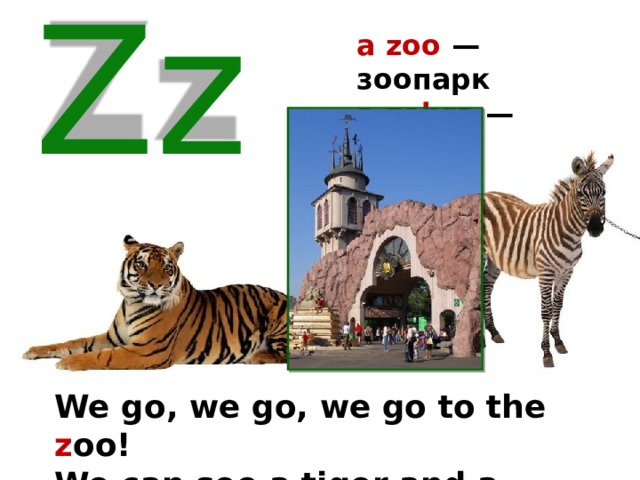 a zoo — зоопарк a zebra — зебра Zz We go, we go, we go to the z oo! We can see a tiger and a z ebra, too. 