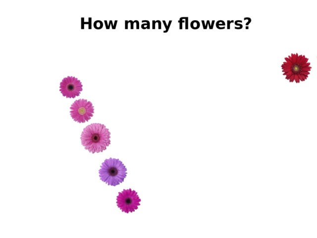 Ноw many flowers? 