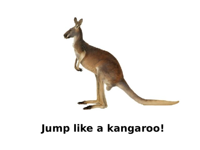 Jump like a kangaroo! 