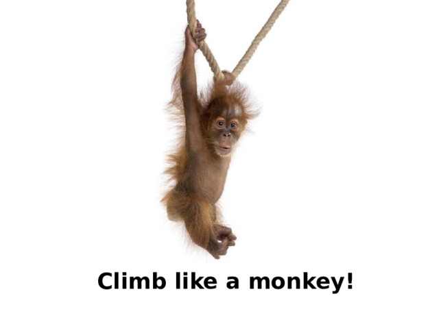 Climb like a monkey! 