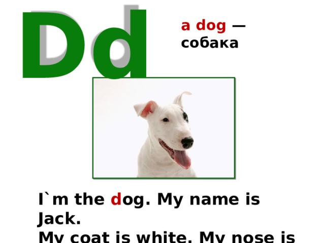 a dog — собака Dd I`m the d og. My name is Jack. My coat is white. My nose is black. 