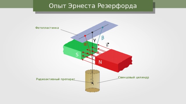 Опыт Эрнеста Резерфорда Фотопластинка β γ α B S N Свинцовый цилиндр Радиоактивный препарат 