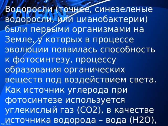 Водоросли (точнее, синезеленые водоросли, или цианобактерии) были первыми организмами на Земле, у которых в процессе эволюции появилась способность к фотосинтезу, процессу образования органических веществ под воздействием света. Как источник углерода при фотосинтезе используется углекислый газ (CO2), в качестве источника водорода – вода (H2O), а в результате - выделяется свободный кислород (О2). 