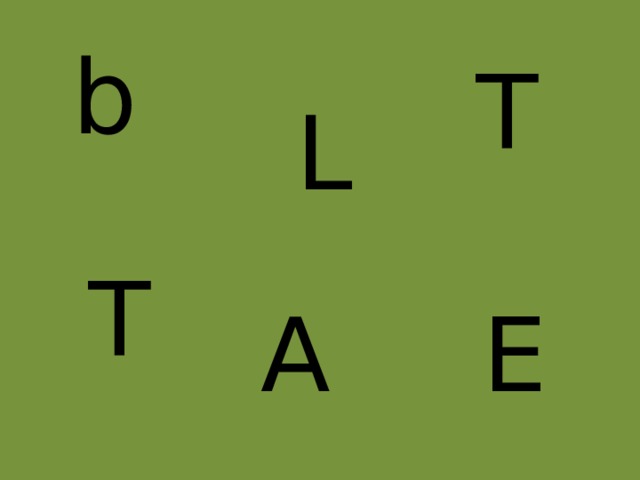 b T L T A E 