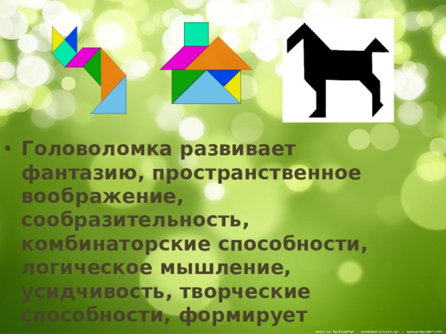 Головоломка развивает фантазию, пространственное воображение, сообразительность, комбинаторские способности, логическое мышление, усидчивость, творческие способности, формирует внимание, упорство, учит последовательности и терпению. 