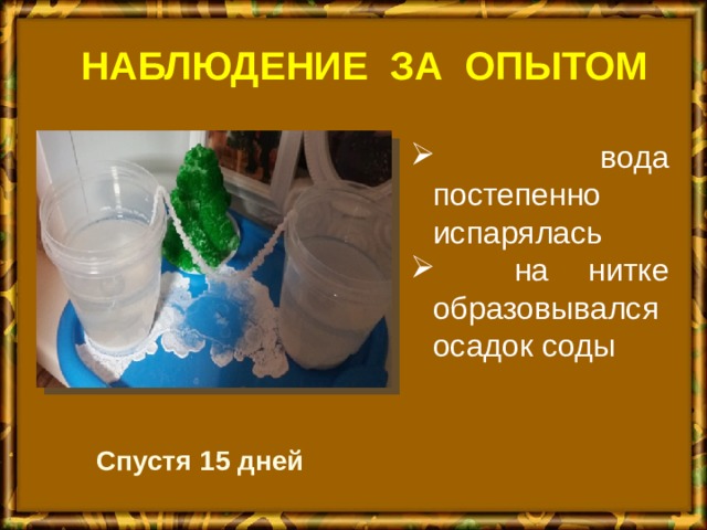 НАБЛЮДЕНИЕ ЗА ОПЫТОМ  вода постепенно испарялась  на нитке образовывался осадок соды Спустя 15 дней 
