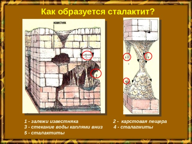 Как образуется сталактит? 1 - залежи известняка  2 - карстовая пещера 3 - стекание воды каплями вниз  4 - сталагмиты 5 - сталактиты 
