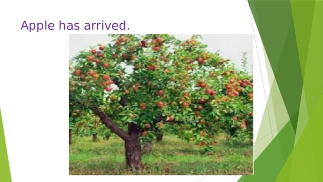 Apple has arrived. 