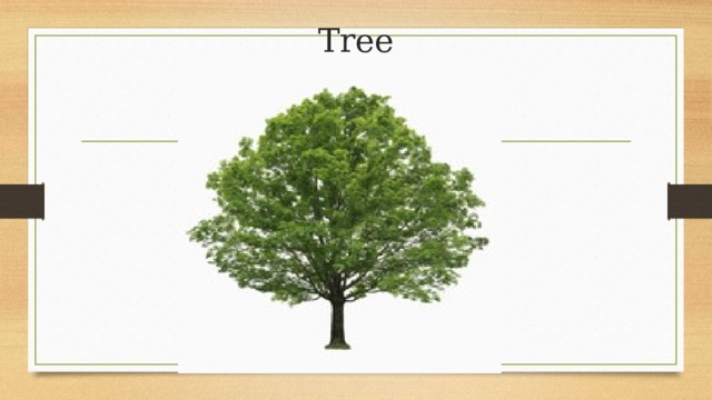 Tree 