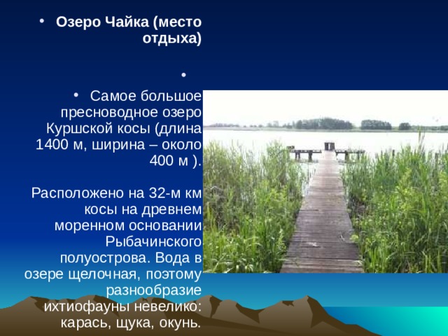 Озеро Чайка (место отдыха)   Самое большое пресноводное озеро Куршской косы (длина 1400 м, ширина – около 400 м ).   Расположено на 32-м км косы на древнем моренном основании Рыбачинского полуострова. Вода в озере щелочная, поэтому разнообразие ихтиофауны невелико: карась, щука, окунь. 