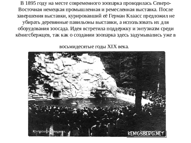 В 1895 году на месте современного зоопарка проводилась Северо-Восточная немецкая промышленная и ремесленная выставка. После завершения выставки, курировавший её Герман Клаасс предложил не убирать деревянные павильоны выставки, а использовать их для оборудования зоосада. Идея встретила поддержку и энтузиазм среди кёнигсбержцев, так как о создании зоопарка здесь задумывались уже в восьмидесятые годы XIX века.  