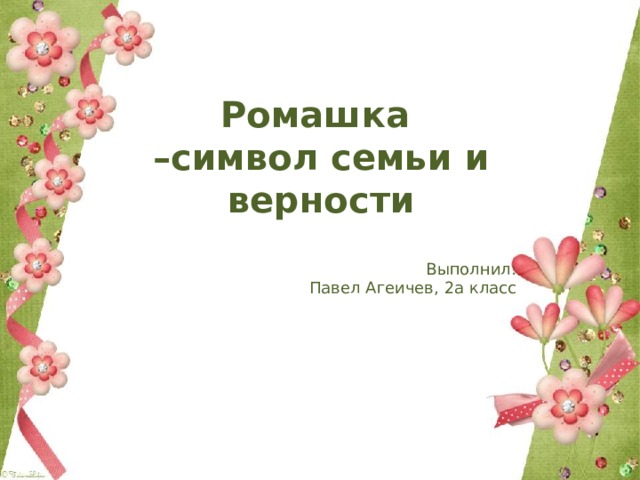 Ромашка – символ семьи и верности Выполнил:  Павел Агеичев, 2а класс 