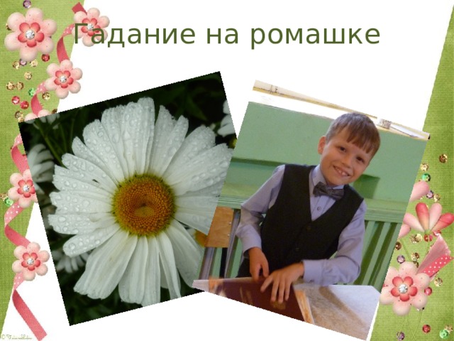 Гадание на ромашке 