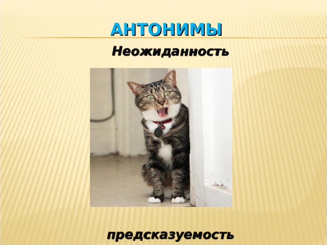 АНТОНИМЫ Неожиданность            предсказуемость  