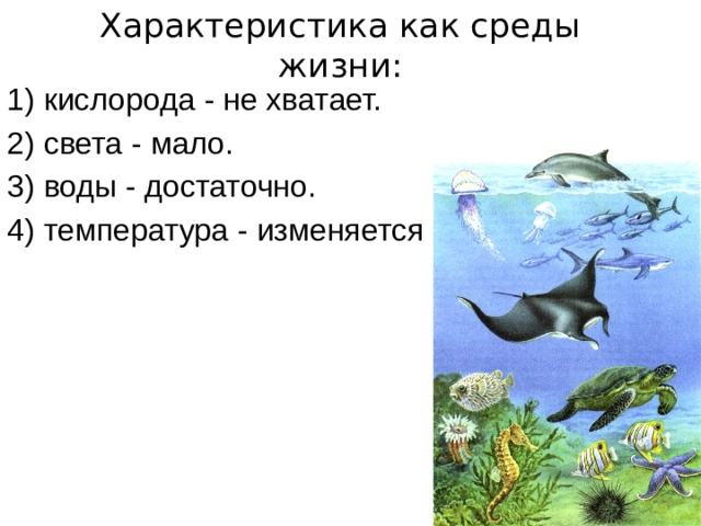 Характеристика как среды жизни: 1) кислорода - не хватает. 2) света - мало. 3) воды - достаточно. 4) температура - изменяется 