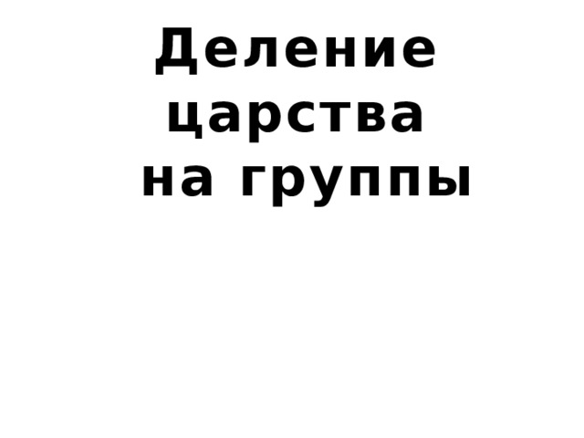 Деление царства  на группы  