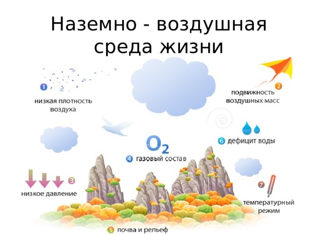 Наземно - воздушная среда жизни 