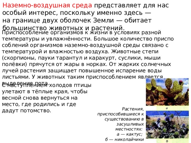 Наземно-воздушная среда представляет для нас особый интерес, поскольку именно здесь — на границе двух оболочек Земли — обитает большинство животных и растений. Приспособление организмов к жизни в условиях разной температуры и увлаж­нённости. Большое количество приспо­соблений организмов наземно-воздушной среды связано с температурой и влажно­стью воздуха. Животные степи (скорпио­ны, пауки тарантул и каракурт, суслики, мыши полёвки) прячутся от жары в нор­ках. От жарких солнечных лучей растения защищает повышенное испарение воды листьями. У животных таким приспособ­лением является выделение пота. С наступлением холодов птицы улетают в тёплые края, чтобы весной снова вернуться на место, где родились и где дадут потомство.   Растения, приспособившиеся к существованию в засушливых местностях: а — кактус; б — николайчики приморские 