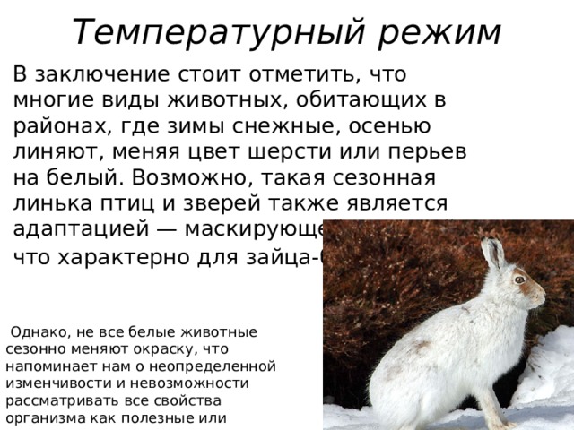 Температурный режим В заключение стоит отметить, что многие виды животных, обитающих в районах, где зимы снежные, осенью линяют, меняя цвет шерсти или перьев на белый. Возможно, такая сезонная линька птиц и зверей также является адаптацией — маскирующей окраской, что характерно для зайца-беляка .   Однако, не все белые животные сезонно меняют окраску, что напоминает нам о неопределенной изменчивости и невозможности рассматривать все свойства организма как полезные или вредные. 