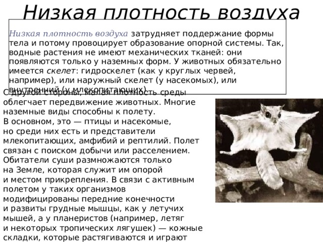 Низкая плотность воздуха  Низкая плотность воздуха  затрудняет поддержание формы тела и потому провоцирует образование опорной системы. Так, водные растения не имеют механических тканей: они появляются только у наземных форм. У животных обязательно имеется  скелет : гидроскелет (как у круглых червей, например), или наружный скелет (у насекомых), или внутренний (у млекопитающих). С другой стороны, малая плотность среды облегчает передвижение животных. Многие наземные виды способны к полету. В основном, это — птицы и насекомые, но среди них есть и представители млекопитающих, амфибий и рептилий. Полет связан с поиском добычи или расселением. Обитатели суши размножаются только на Земле, которая служит им опорой и местом прикрепления. В связи с активным полетом у таких организмов модифицированы передние конечности и развиты грудные мышцы, как у летучих мышей, а у планеристов (например, летяг и некоторых тропических лягушек) — кожные складки, которые растягиваются и играют роль парашюта 
