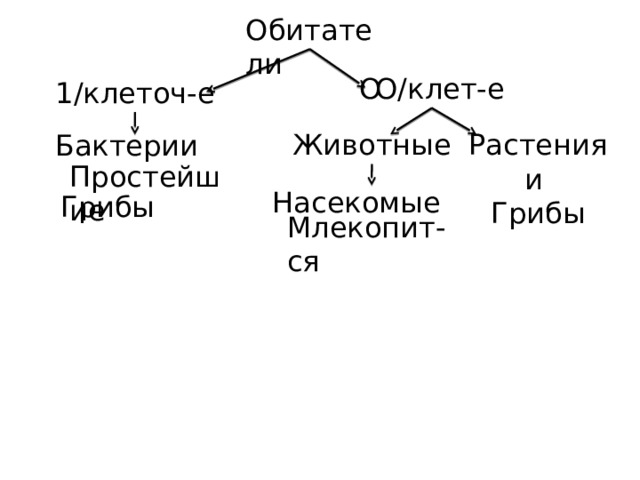 Обитатели Ꝏ/клет-е 1/клеточ-е Животные Растения и Грибы Бактерии Простейшие Насекомые Грибы Млекопит-ся 