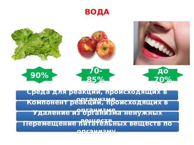 ВОДА 90% 70-85% до 70% Среда для реакций, происходящих в организме. Компонент реакций, происходящих в организме. Удаление из организма ненужных веществ. Перемещение питательных веществ по организму. 