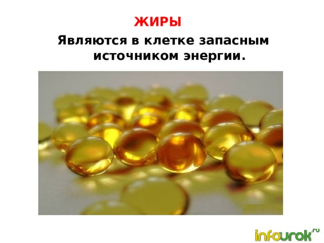 ЖИРЫ Являются в клетке запасным источником энергии.   