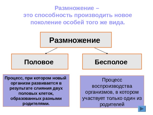 Размножение – это способность производить новое поколение особей того же вида. Размножение Половое  Бесполое Процесс, при котором новый организм развивается в результате слияния двух половых клеток, образованных разными родителями. Процесс воспроизводства организмов, в котором участвует только один из родителей 