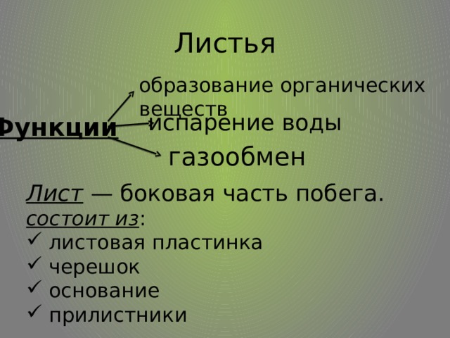 Листья образование органических веществ испарение воды Функции газообмен Лист — боковая часть побега. состоит из : листовая пластинка черешок основание прилистники 