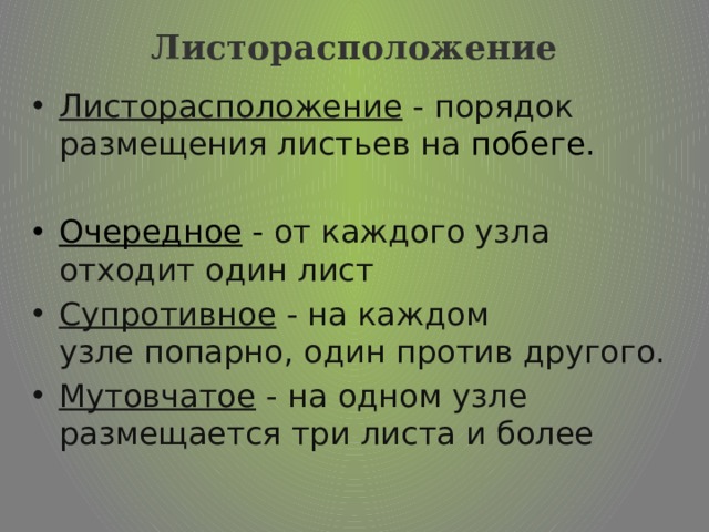 Листорасположение   Листорасположение - порядок размещения листьев на  побеге. Очередное - от каждого узла отходит один лист Супротивное - на каждом узле попарно, один против другого. Мутовчатое - на одном узле размещается три листа и более  