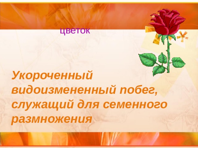 цветок Укороченный видоизмененный побег, служащий для семенного размножения 