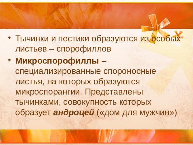 Тычинки и пестики образуются из особых листьев – спорофиллов Микроспорофиллы – специализированные спороносные листья, на которых образуются микроспорангии. Представлены тычинками, совокупность которых образует андроцей («дом для мужчин») 