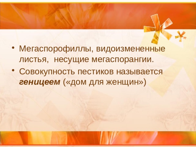 Мегаспорофиллы, видоизмененные листья, несущие мегаспорангии. Совокупность пестиков называется геницеем («дом для женщин») 