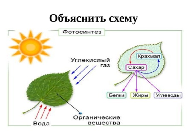 Объяснить схему 