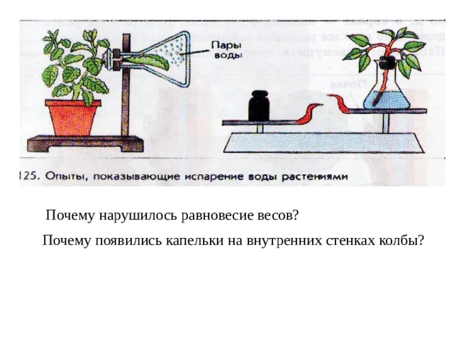  Почему нарушилось равновесие весов? Почему появились капельки на внутренних стенках колбы?    