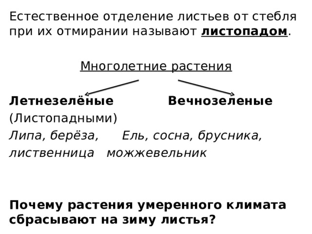 Естественное отделение листьев от стебля при их отмирании называют листопадом . Многолетние растения Летнезелёные       Вечнозеленые (Листопадными) Липа, берёза,    Ель, сосна, брусника, лиственница     можжевельник   Почему растения умеренного климата сбрасывают на зиму листья?  